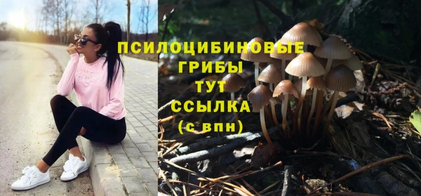 прущие грибы Армянск