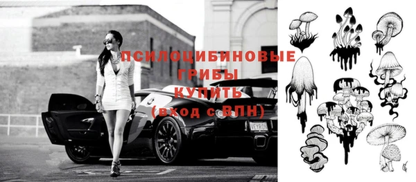 СК Алзамай