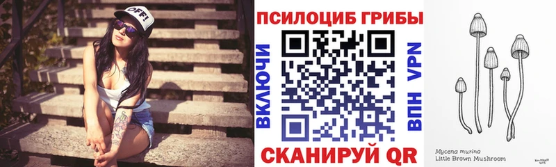 купить наркотики цена  сайты даркнета официальный сайт  Галлюциногенные грибы мицелий  Майкоп 